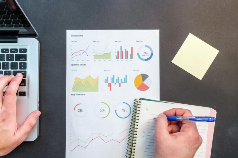 Lokales SEO Dashboard – Analyse lokaler Google-Rankings und Sichtbarkeit